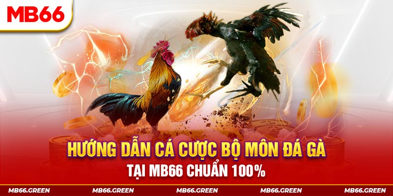 88bet kết quả xổ số miền bắc ngày hôm nay