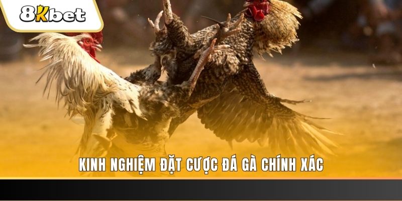 88bet xổ số thứ bảy hàng tuần