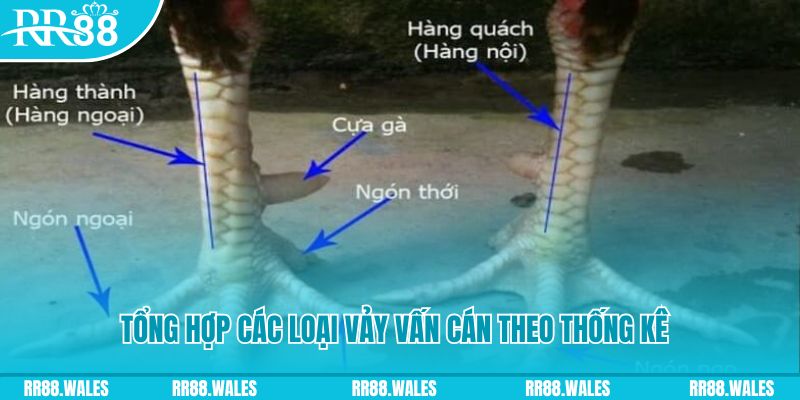 88bet xổ số miền nam thứ sáu