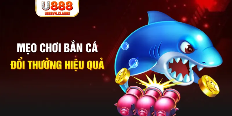 88bet gà chọi cam ranh