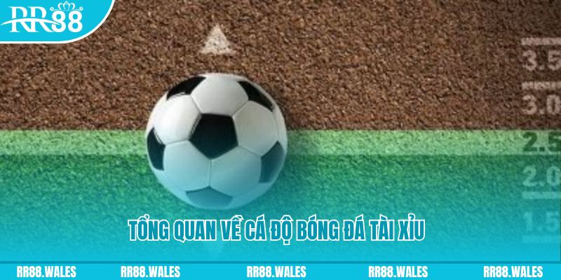 88bet đăng nhập roulette online