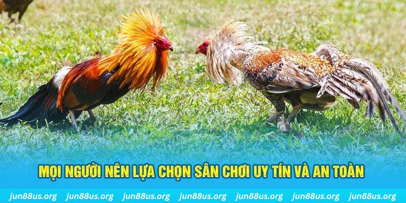 88bet Cỡ bảy