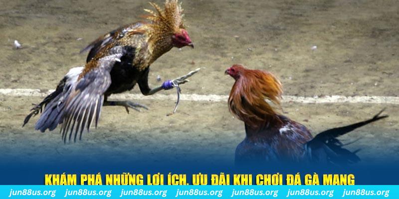 88bet đăng nhập liêng live