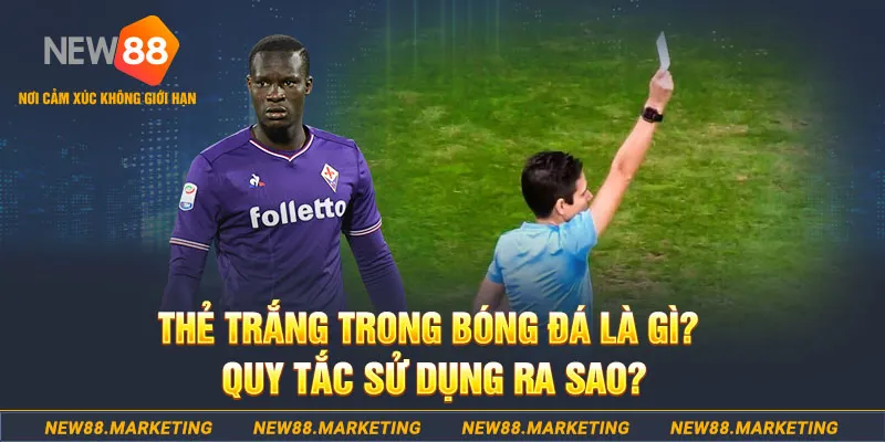 88bet đăng nhập sòng bạc hôm nay