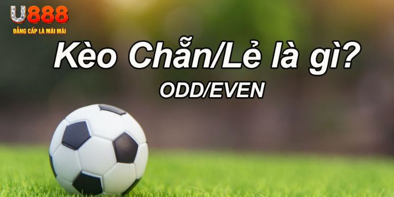 88bet đăng nhập sòng bạc 2024