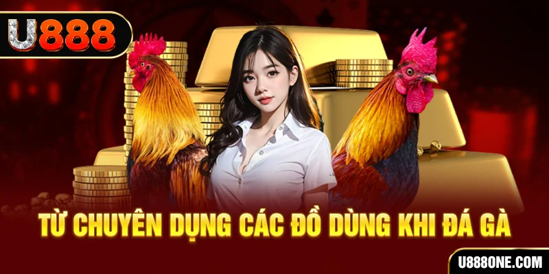 88bet đá gà trực tiếp campuchia